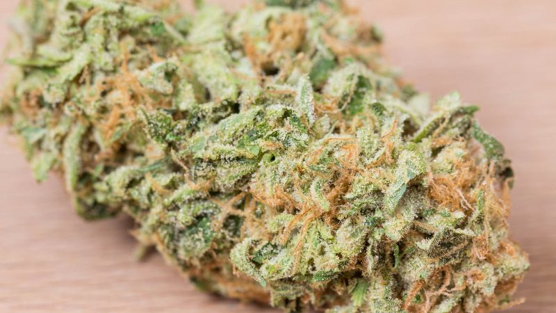 Weed price Prague. 
                    Hellfire Og Marijuana Strain