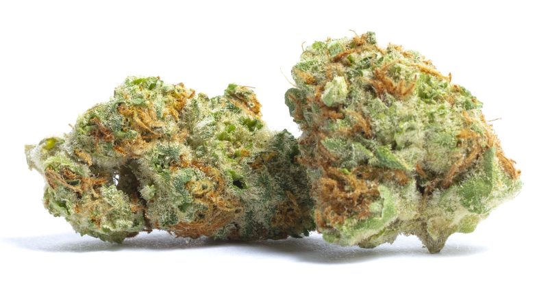 Weed price Prague. 
                    Orange Snow Cone Marijuana Strain