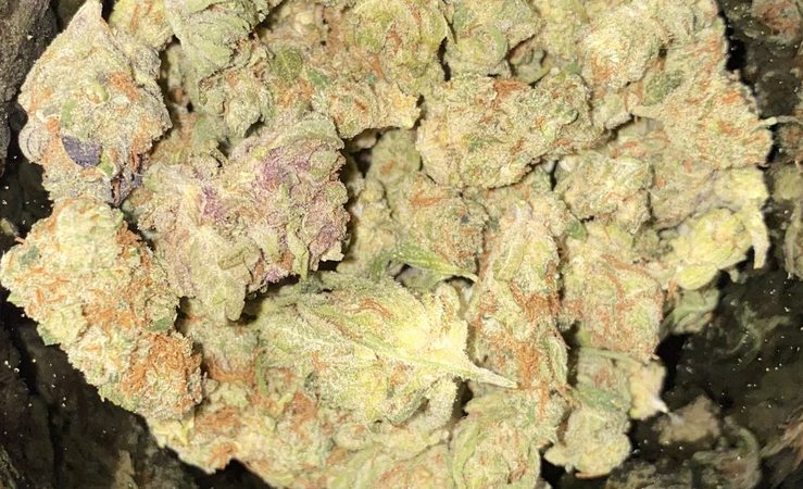 Weed price Prague. 
                    Iced Grapefruit Marijuana Strain