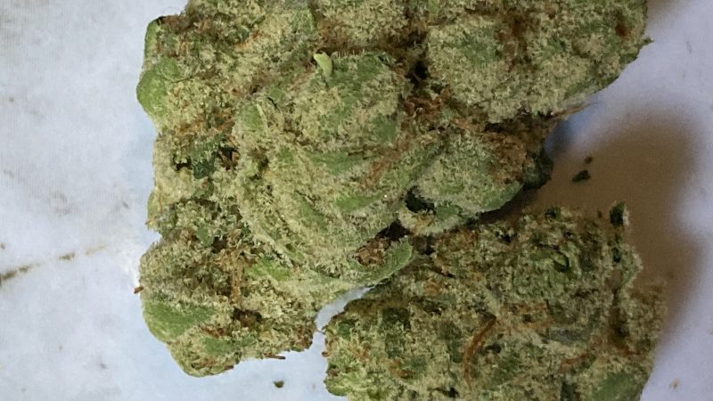 Weed price Prague. 
                    Presidential Kush Marijuana Strain