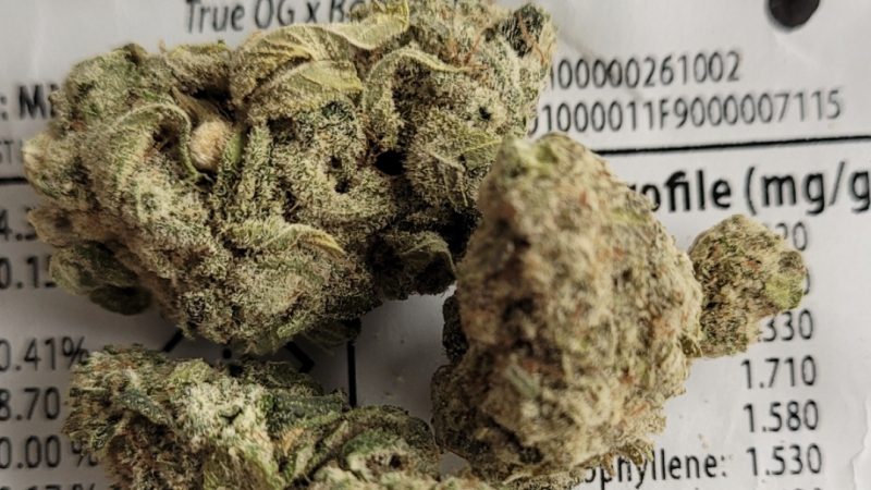 Weed price Prague. 
                    Double OG Marijuana Strain