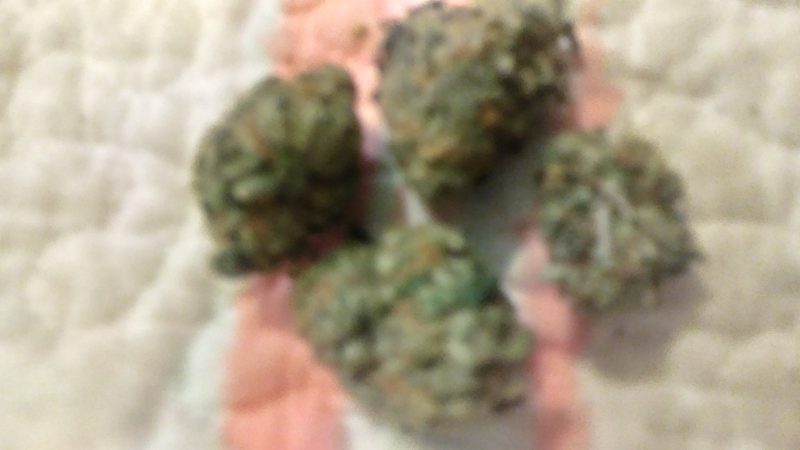 Weed price Prague. 
                    Sherbet Marijuana Strain