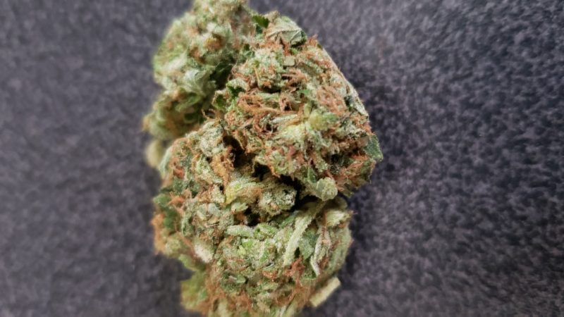 Weed price Prague. 
                    Cherry Wonka Marijuana Strain