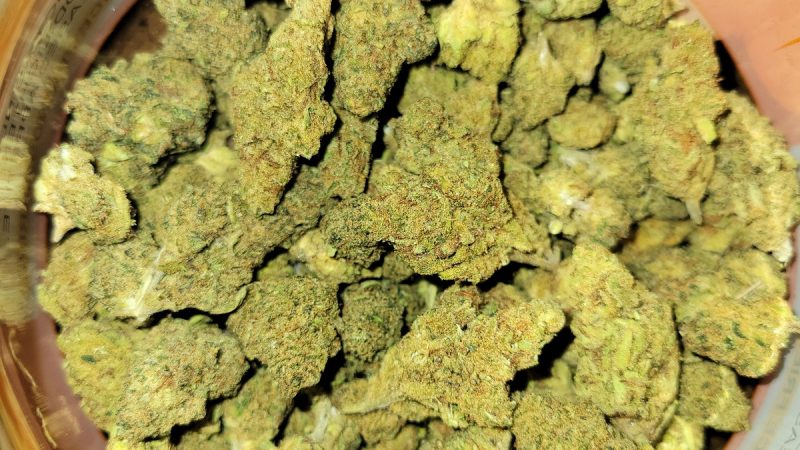 Weed price Prague. 
                    KILLER GRAPE Marijuana Strain