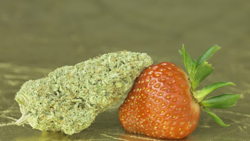 Weed price Prague. 
                    Golden Strawberries Marijuana Strain