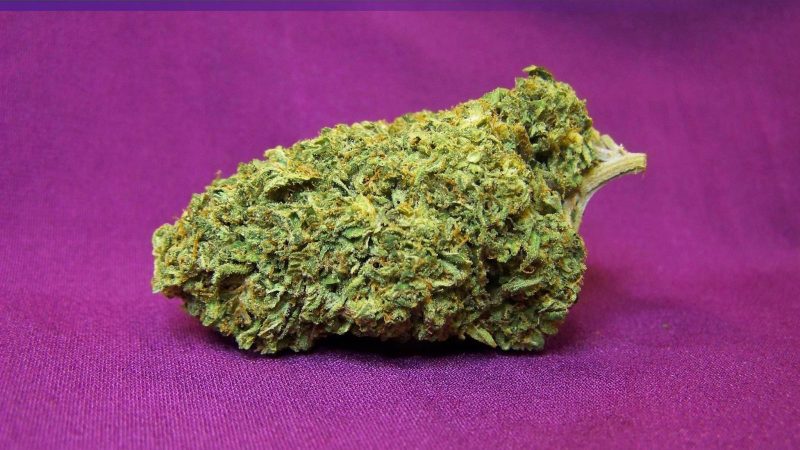 Weed price Prague. 
                    Blue Hawaiian Marijuana Strain