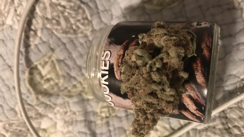 Weed price Prague. 
                    Panda Cookies Marijuana Strain