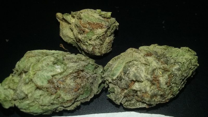 Weed price Prague. 
                    Blueberry Punch Marijuana Strain