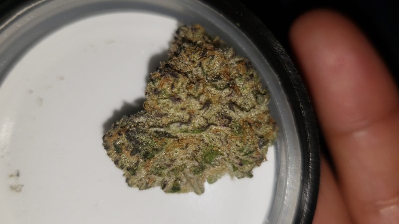 Weed price Prague. 
                    Black Ice Marijuana Strain