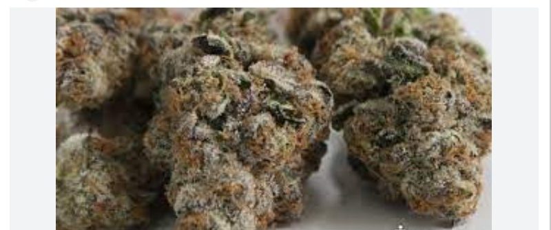 Weed price Prague. 
                    Purple Cookie Dough Marijuana Strain