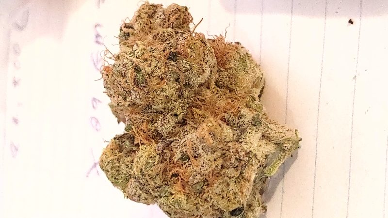 Weed price Prague. 
                    Steel Bridge Marijuana Strain