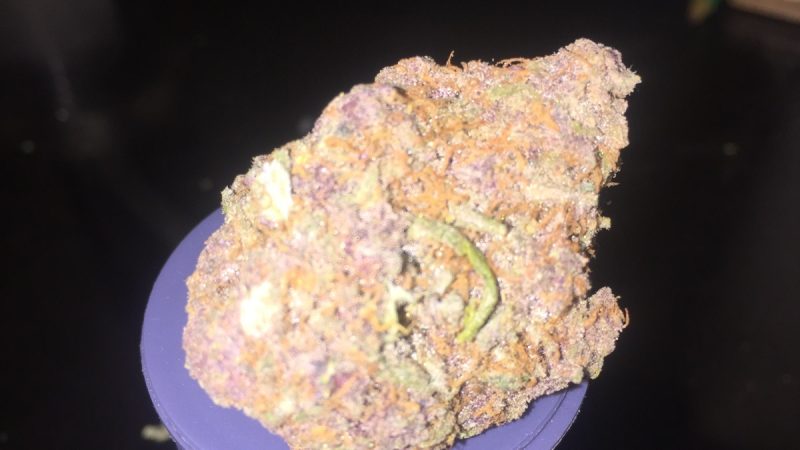 Weed price Prague. 
                    Purple Kryptonite Marijuana Strain