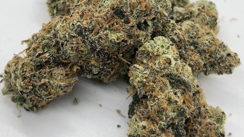 Weed price Prague. 
                    Pirate Cake Marijuana Strain