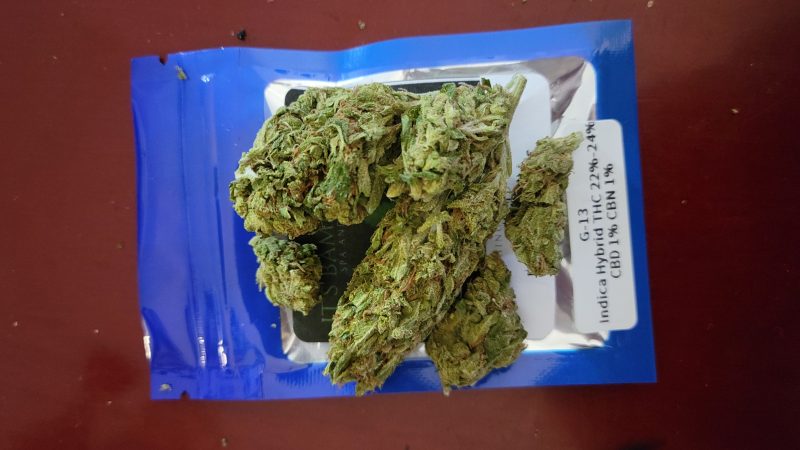 Weed price Prague. 
                    G13 Marijuana Strain