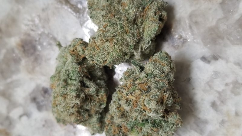 Weed price Prague. 
                    Peppermint Cookies Marijuana Strain