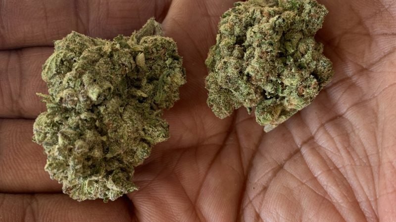 Weed price Prague. 
                    Cake Frosting Marijuana Strain