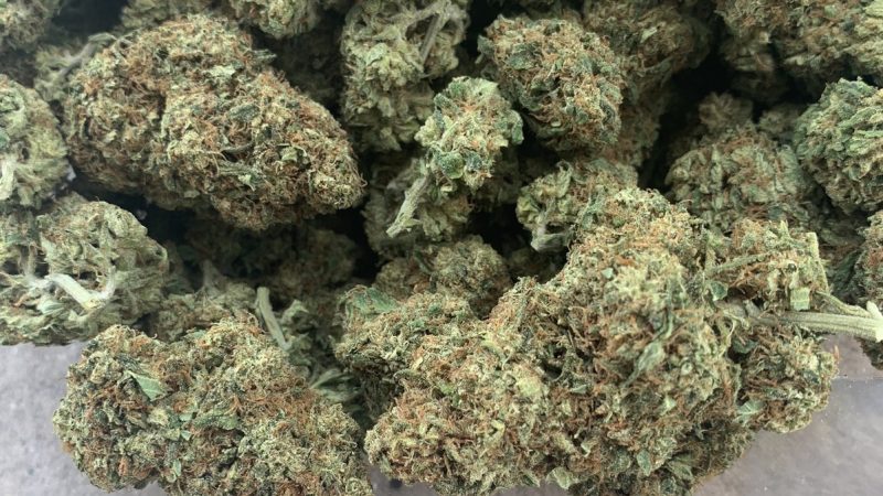 Weed price Prague. 
                    Pineapple Upside Down Cake Marijuana Strain