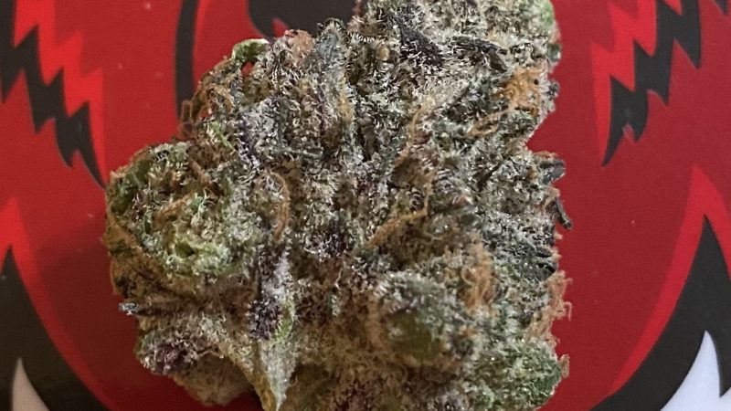 Weed price Prague. 
                    Melonade Marijuana Strain