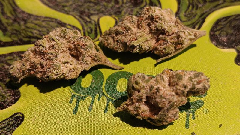 Weed price Prague. 
                    Banana Cake Marijuana Strain