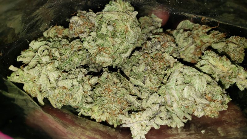 Weed price Prague. 
                    Catholic School Girl Marijuana Strain