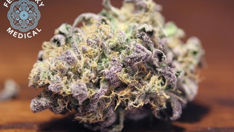 Weed price Prague. 
                    Thin Mint Girl Scout Cookies Marijuana Strain