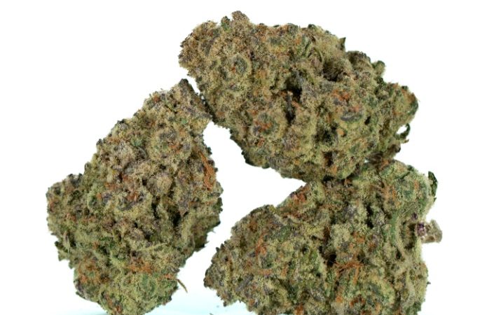 Weed price Prague. 
                    Silky Johnson Marijuana Strain