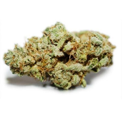 Weed price Prague. 
                    Pearl Scout Cookie Marijuana Strain