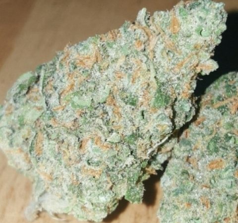 Weed price Prague. 
                    Hawaiian Rush Marijuana Strain