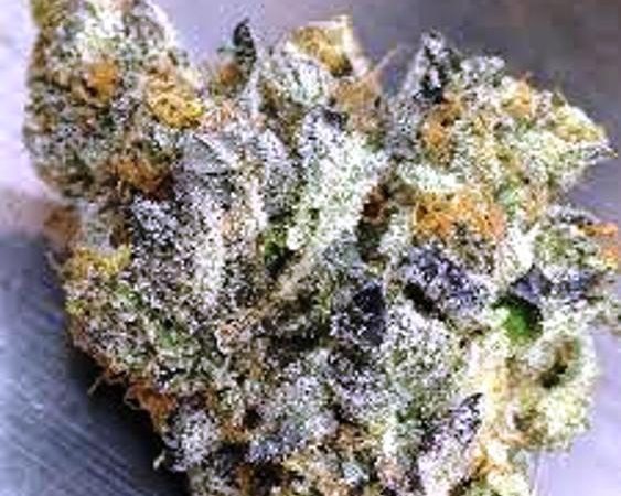 Weed price Prague. 
                    Double Mint Marijuana Strain