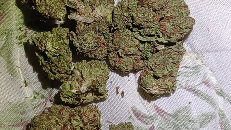 Weed price Prague. 
                    Carmelo Marijuana Strain