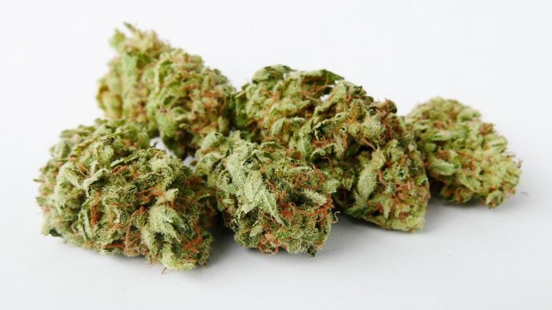 Weed price Prague. 
                    Sour Chiesel Marijuana Strain
