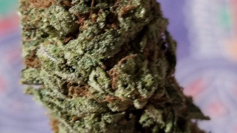 Weed price Prague. 
                    OG Matic Marijuana Strain