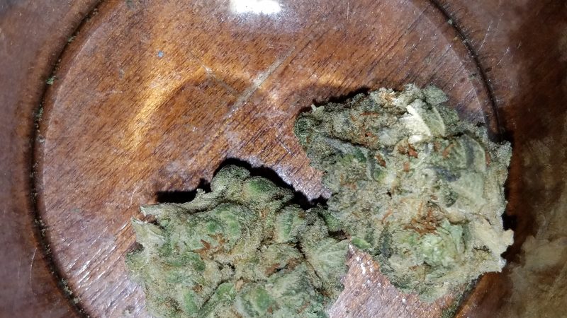 Weed price Prague. 
                    SuperGlue Marijuana Strain