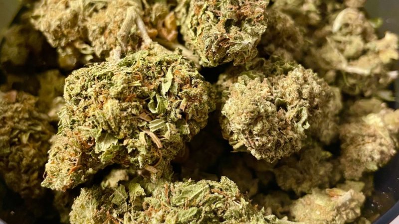 Weed price Prague. 
                    Ken’s OG Marijuana Strain