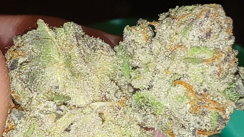 Weed price Prague. 
                    Bond Road Kush Marijuana Strain