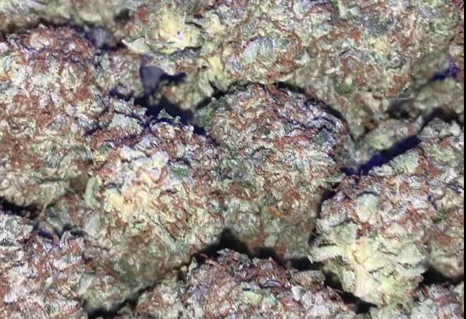 Weed price Prague. 
                    Orange Peel Marijuana Strain