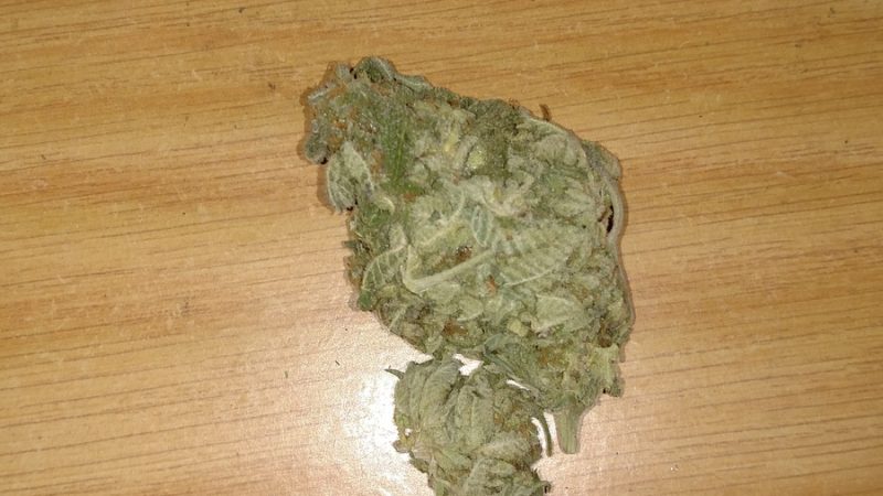 Weed price Prague. 
                    Elmer’s Glue Marijuana Strain