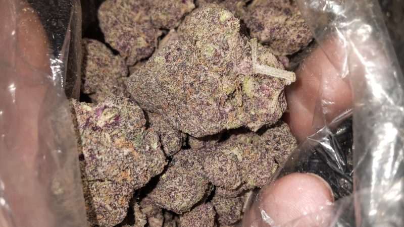 Weed price Prague. 
                    Purple Octane Marijuana Strain