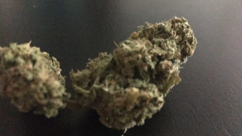 Weed price Prague. 
                    BOG Bubble Marijuana Strain