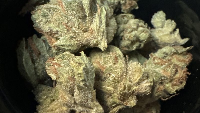 Weed price Prague. 
                    Lemon G Marijuana Strain