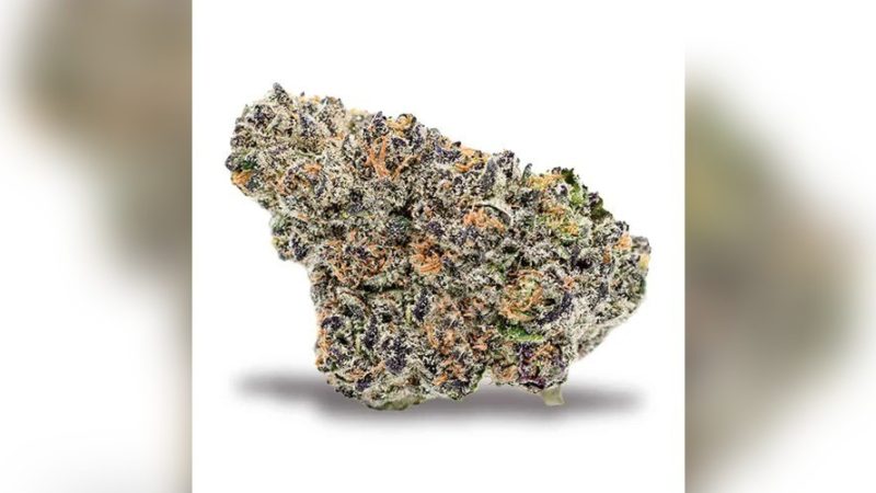 Weed price Prague. 
                    41 Cherries Marijuana Strain