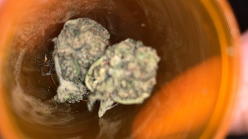 Weed price Prague. 
                    Purple Afghani Marijuana Strain