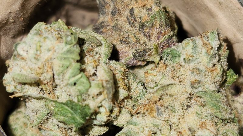 Weed price Prague. 
                    Larry Cake Marijuana Strain