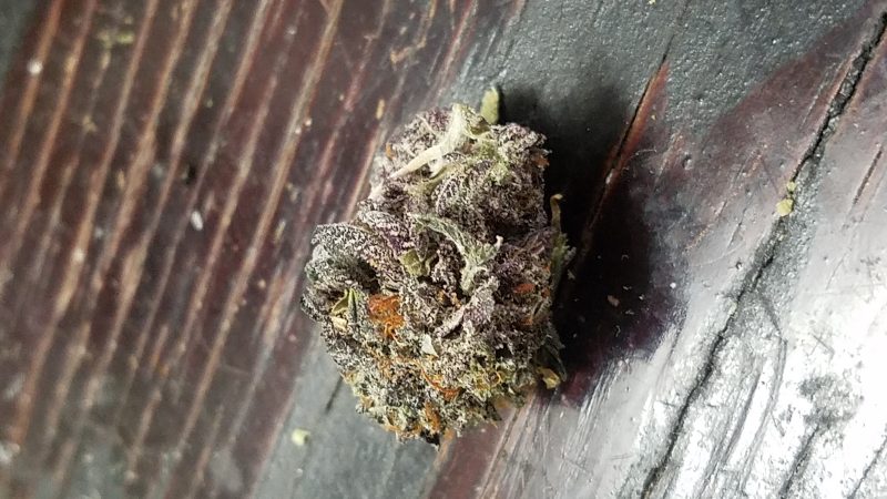 Weed price Prague. 
                    Purple Alien OG Marijuana Strain