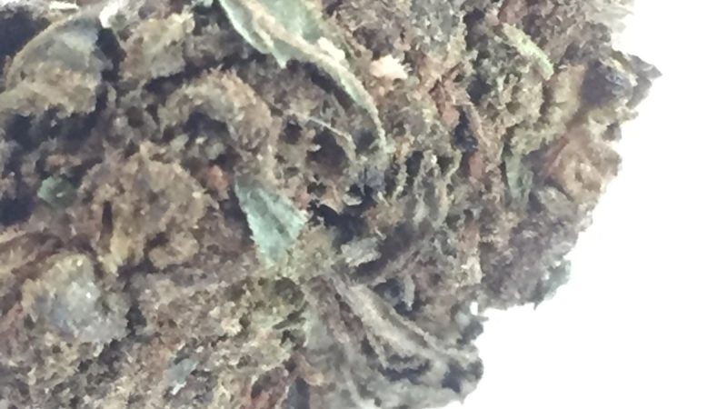 Weed price Prague. 
                    Greenleaf Platinum Cookies Marijuana Strain