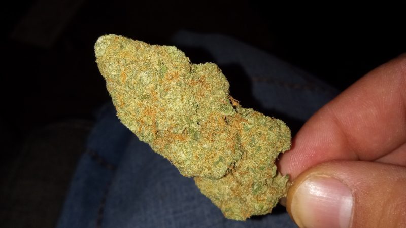 Weed price Prague. 
                    Bubba Berry Marijuana Strain