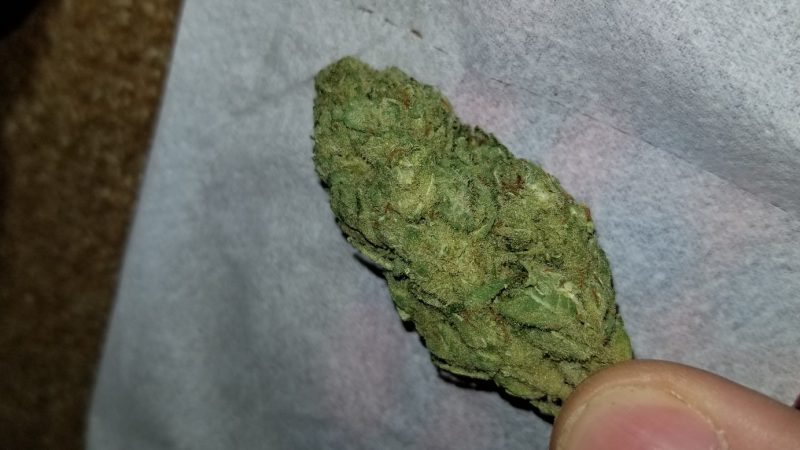 Weed price Prague. 
                    Spirit in the Sky Marijuana Strain