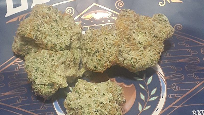 Weed price Prague. 
                    Headband Cookies Marijuana Strain