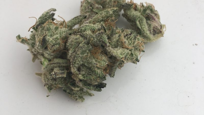 Weed price Prague. 
                    Blue Frost Marijuana Strain