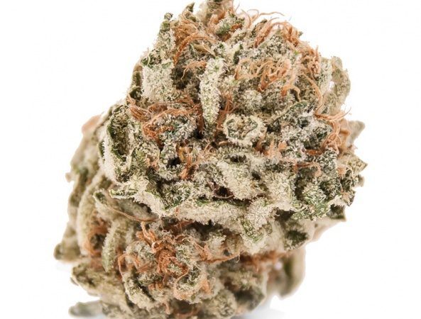 Weed price Prague. 
                    Orange State Kush Marijuana Strain